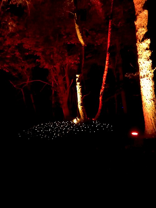 Brennender Baum im Lichtermeer